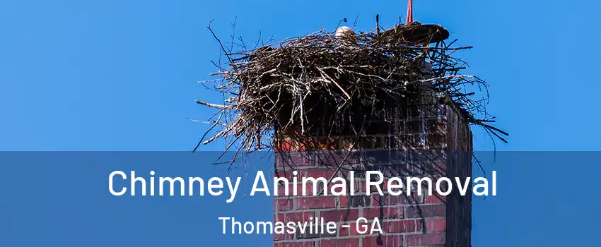  Chimney Animal Removal Thomasville - GA