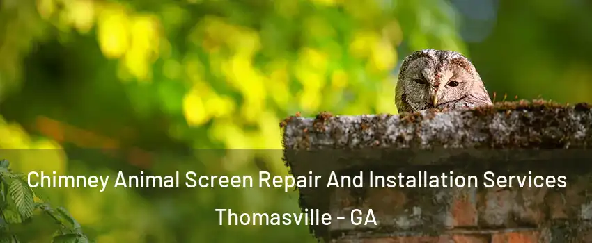  Chimney Animal Screen Repair And Installation Services Thomasville - GA