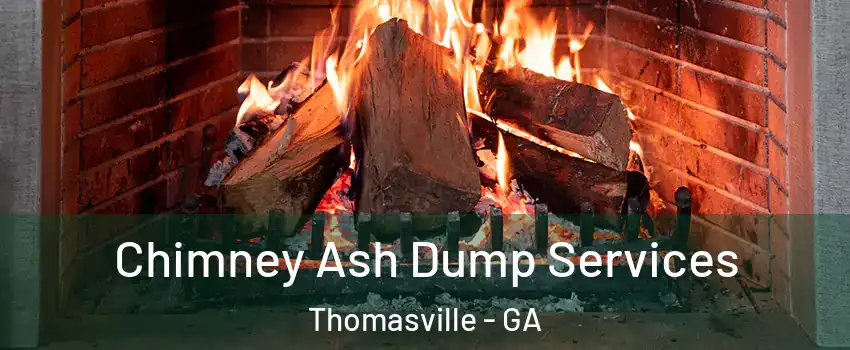  Chimney Ash Dump Services Thomasville - GA