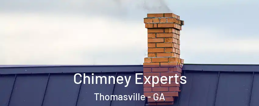  Chimney Experts Thomasville - GA