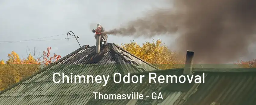  Chimney Odor Removal Thomasville - GA