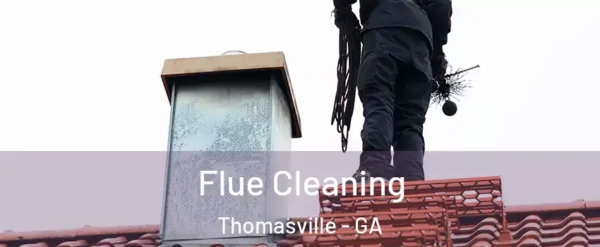  Flue Cleaning Thomasville - GA