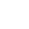 Professional Chimney Flue Installation in Thomasville, Georgia