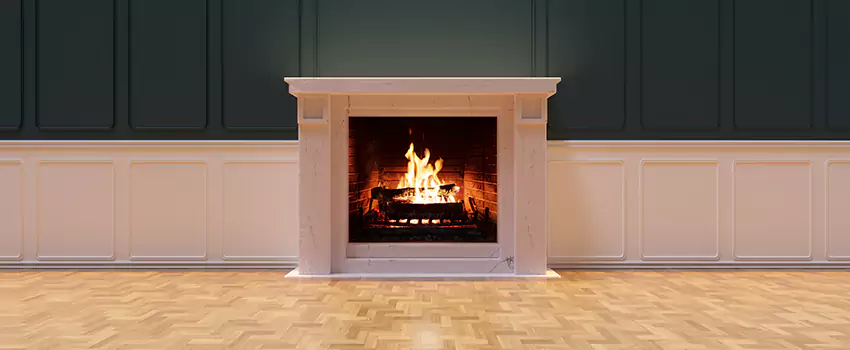 Napoleon Electric Fireplaces Inspection Service in Thomasville, Georgia