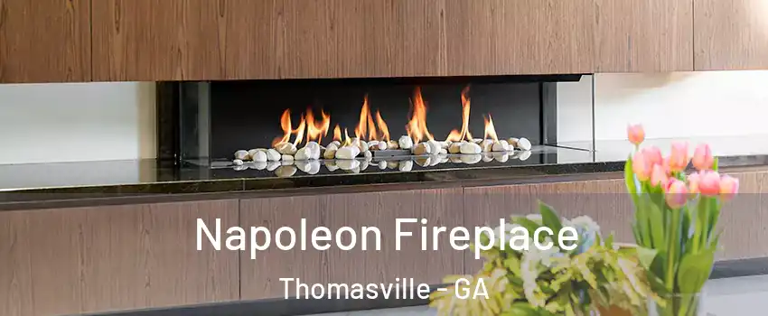  Napoleon Fireplace Thomasville - GA
